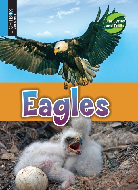 Cover image for book Eagles