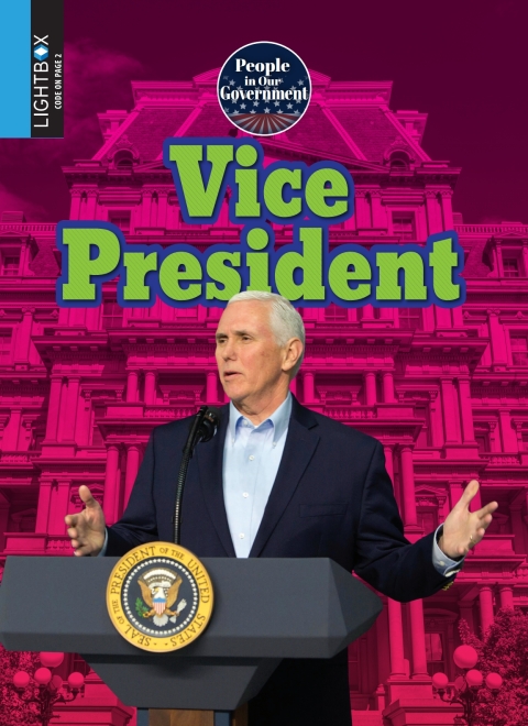 Cover image for book Vice President