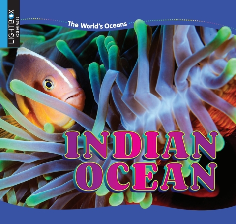 Cover image for book Indian Ocean