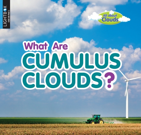 Cover image for book What Are Cumulus Clouds?