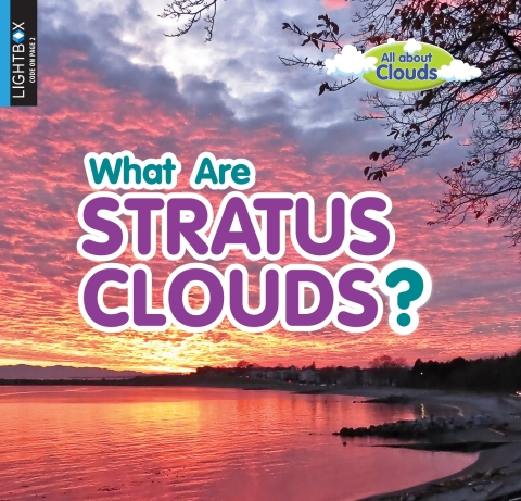 Cover image for book What Are Stratus Clouds?