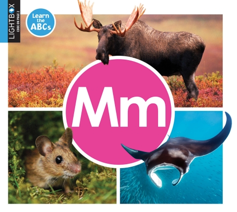 Cover image for book Mm