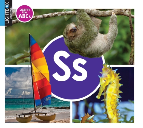 Cover image for book Ss