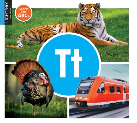 Cover image for book Tt