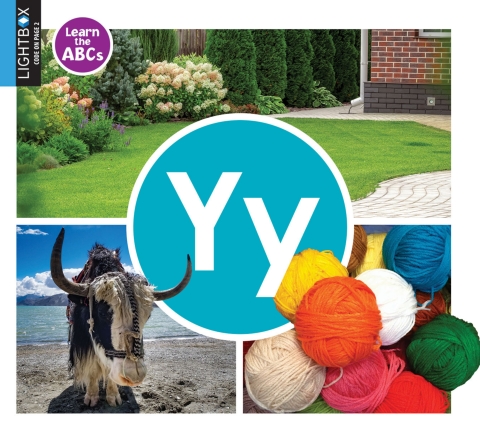Cover image for book Yy