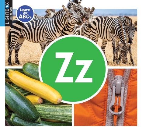 Cover image for book Zz