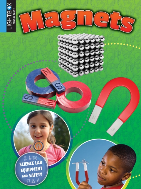 Cover image for book Magnets