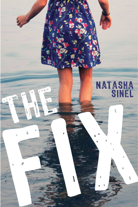 Cover image for book The Fix