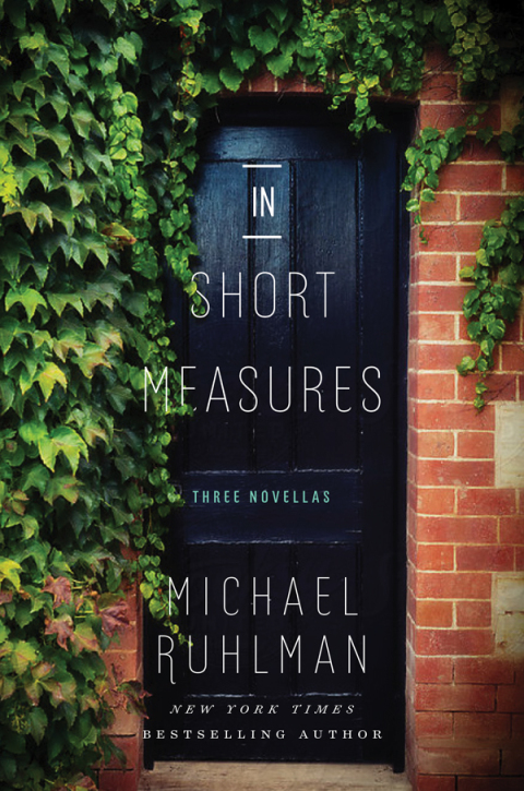 Cover image for book In Short Measures