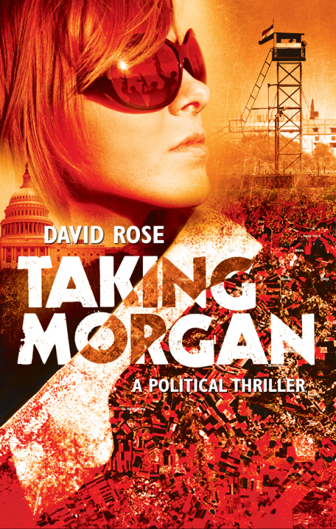 Cover image for book Taking Morgan
