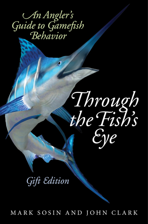 Cover image for book Through the Fish's Eye