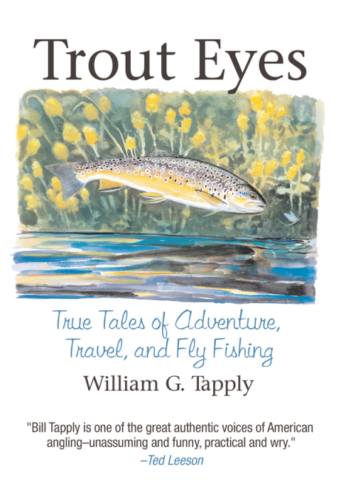 Cover image for book Trout Eyes