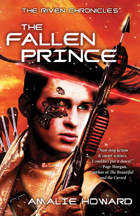Cover image for book The Fallen Prince