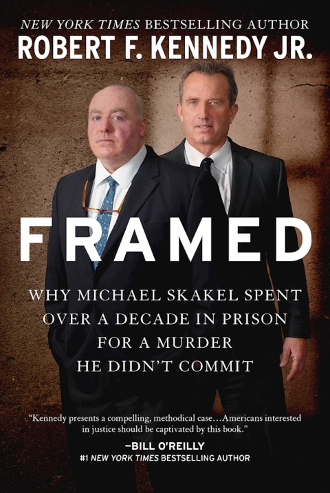 Cover image for book Framed