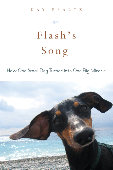 Cover image for book Flash's Song
