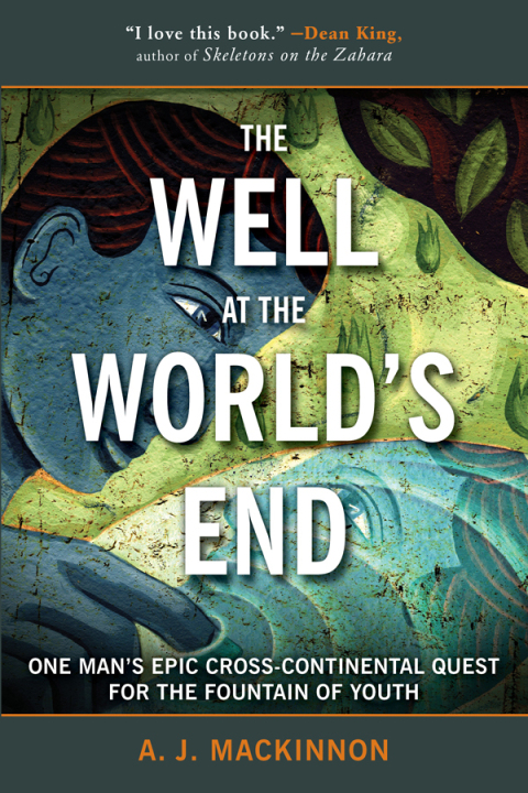 Cover image for book The Well at the World's End