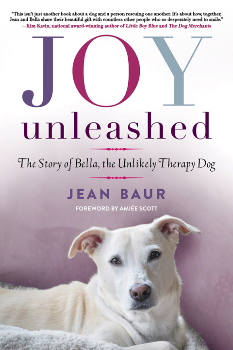 Cover image for book Joy Unleashed