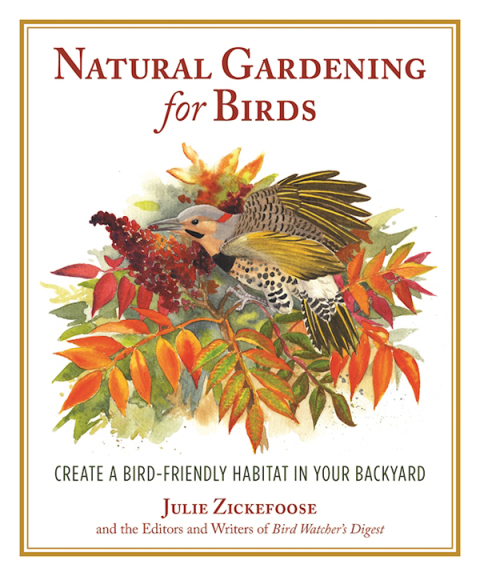 Cover image for book Natural Gardening for Birds