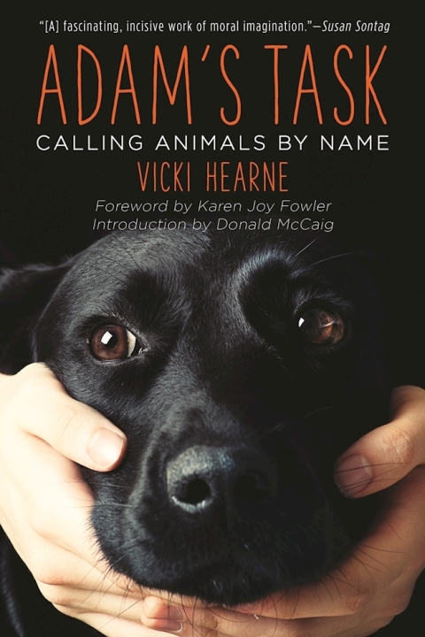 Cover image for book Adam's Task