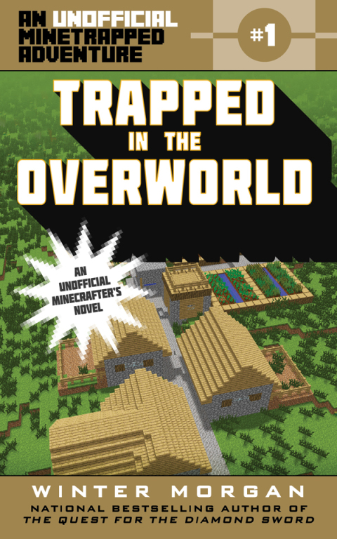 Cover image for book Trapped in the Overworld