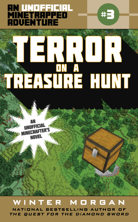 Cover image for book Terror on a Treasure Hunt
