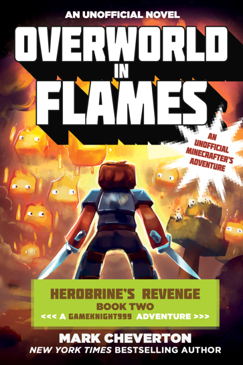 Cover image for book Overworld in Flames
