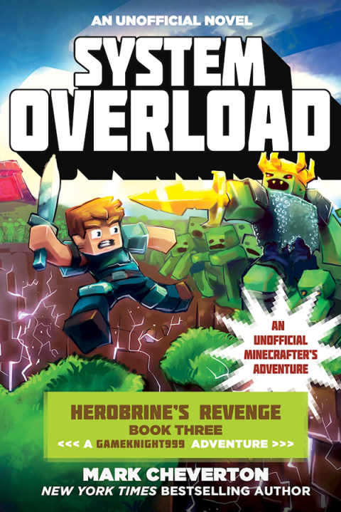 Cover image for book System Overload