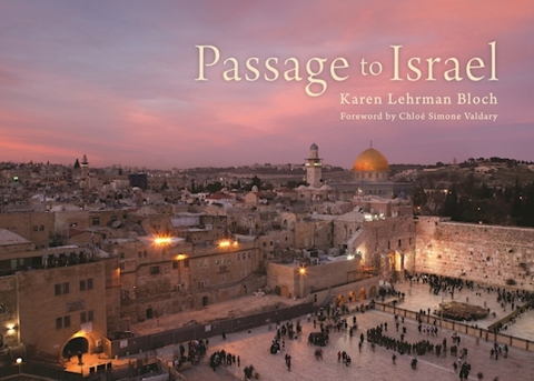 Cover image for book Passage to Israel