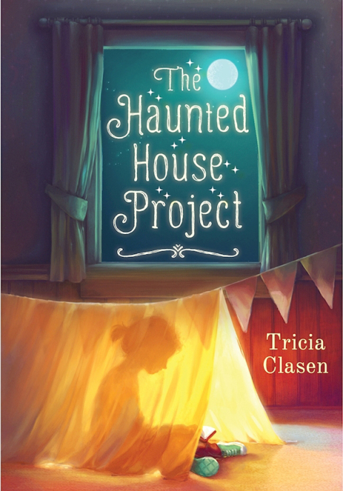 Cover image for book The Haunted House Project