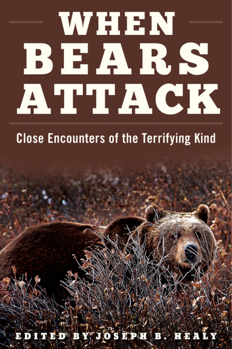 Cover image for book When Bears Attack