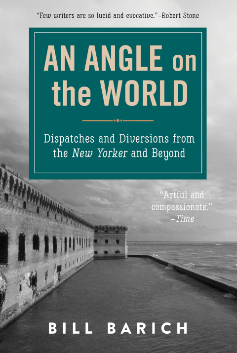 Cover image for book An Angle on the World