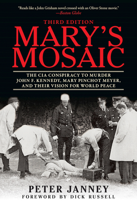 Cover image for book Mary's Mosaic