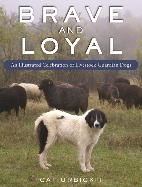 Cover image for book Brave and Loyal