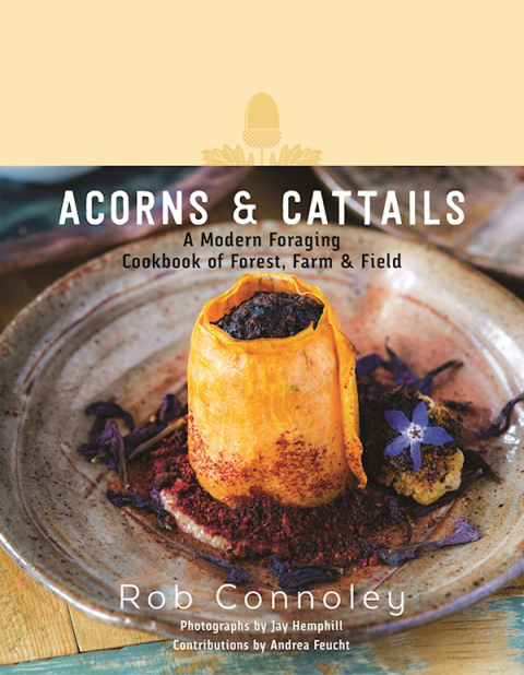 Cover image for book Acorns & Cattails