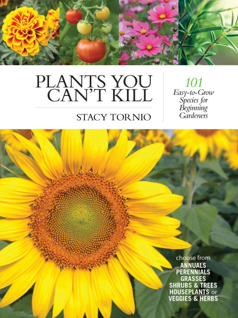 Cover image for book Plants You Can't Kill