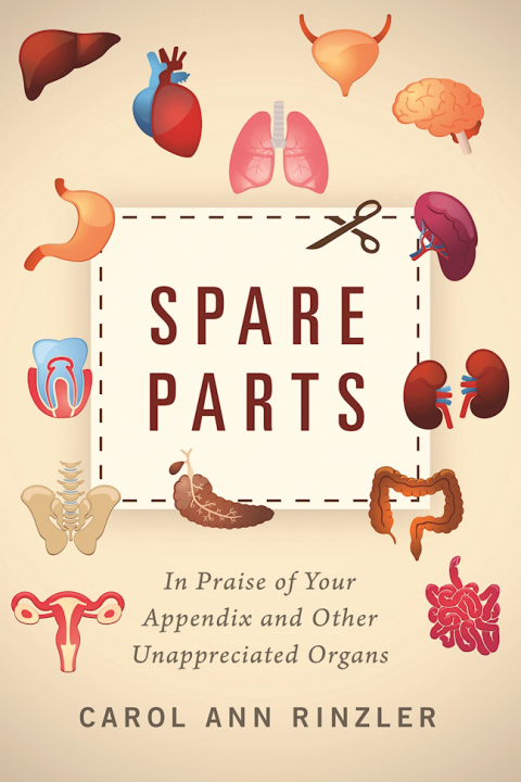 Cover image for book Spare Parts