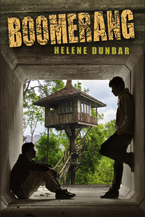 Cover image for book Boomerang