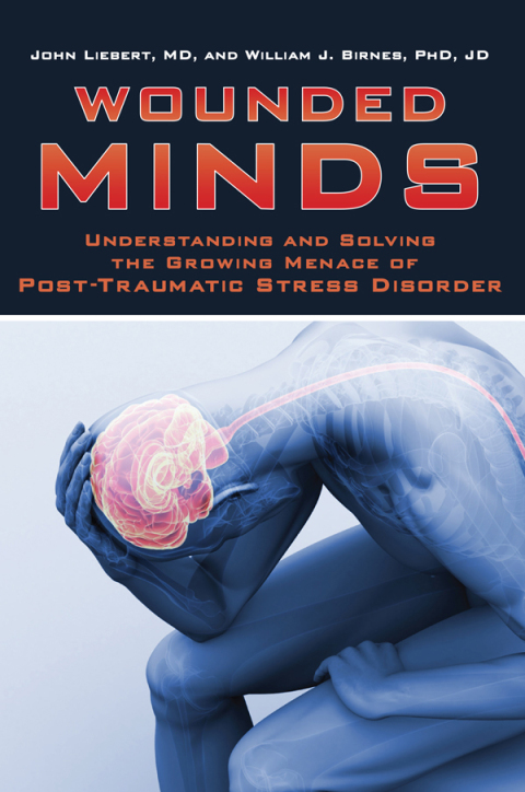 Cover image for book Wounded Minds