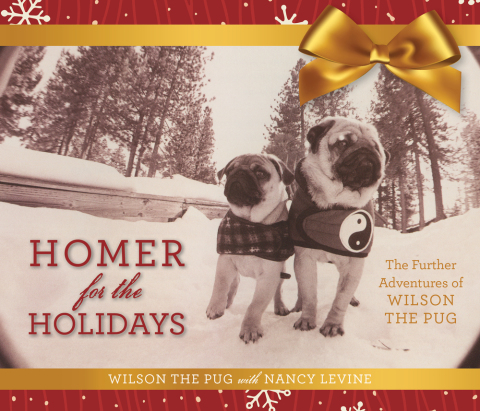 Cover image for book Homer for the Holidays