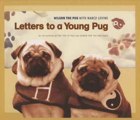 Cover image for book Letters to a Young Pug