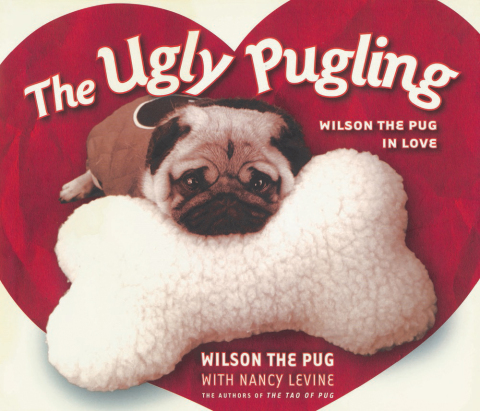 Cover image for book The Ugly Pugling