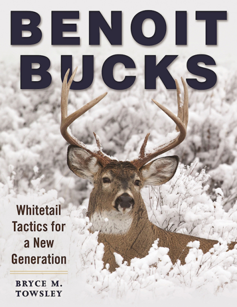 Cover image for book Benoit Bucks