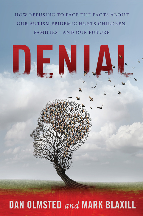 Cover image for book Denial