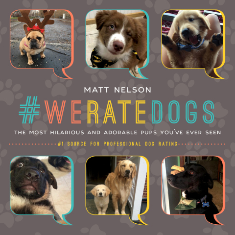 Cover image for book #WeRateDogs