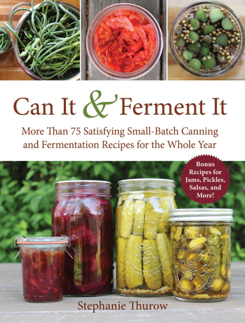 Cover image for book Can It & Ferment It