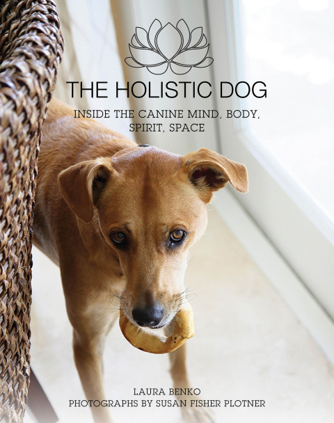 Cover image for book The Holistic Dog