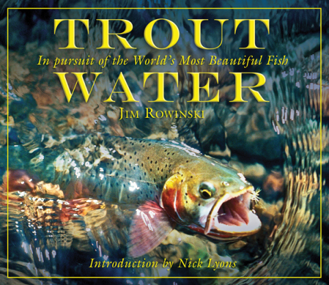 Cover image for book Trout Water