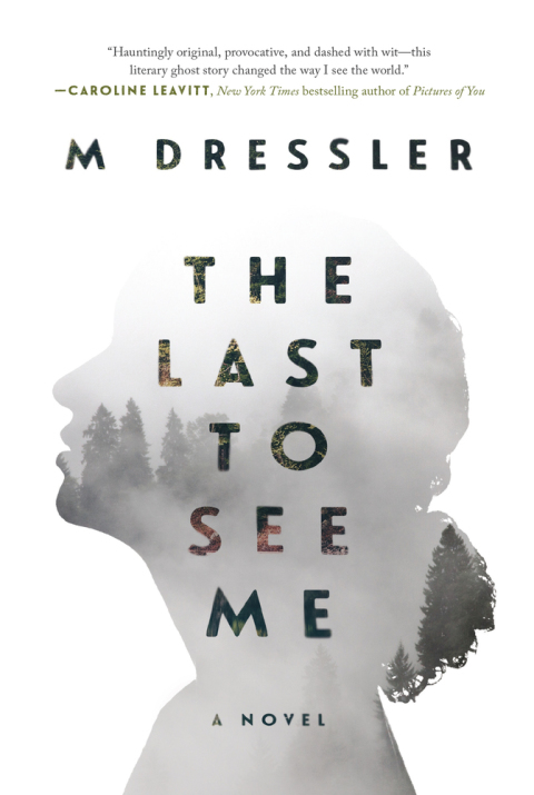Cover image for book The Last to See Me