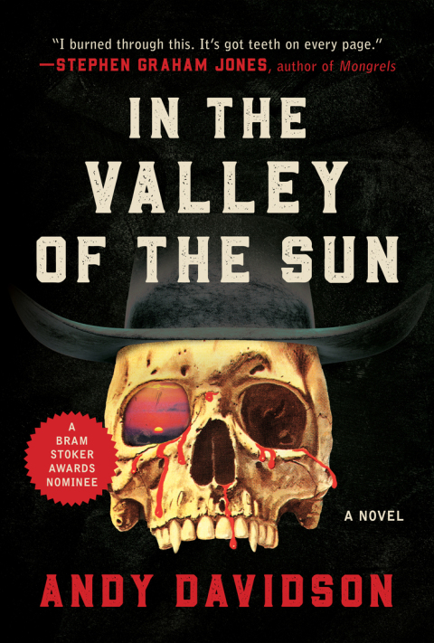 Cover image for book In the Valley of the Sun