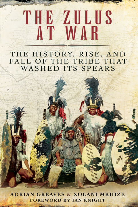 Cover image for book The Zulus at War